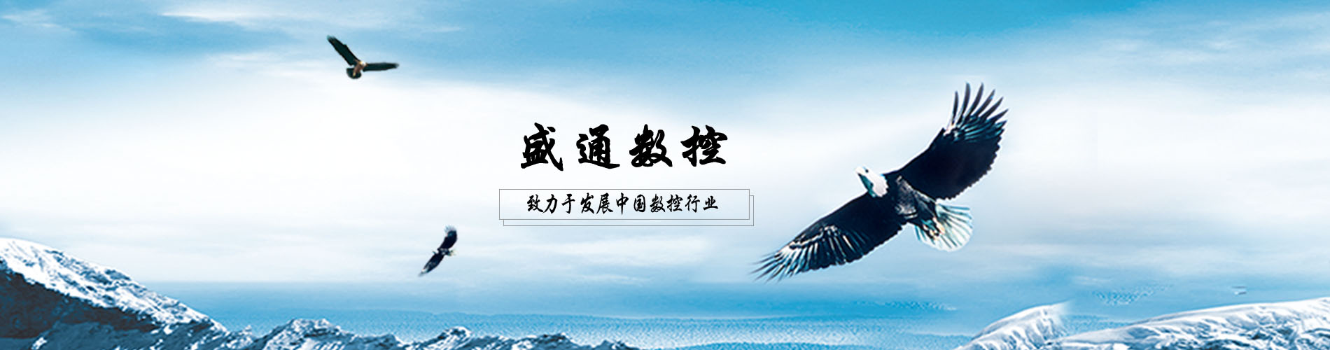 致力于中國數控行業的發展